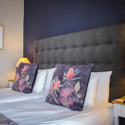 Olive tree private rooms in Stellenbosch- No Load Shedding
