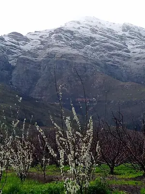 a view of a mountain with snow on it at Olive and Vine Farm Cottage in Franschhoek
