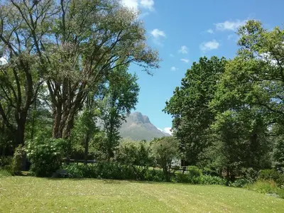 a park with trees and a mountain in the background at Languedoc in Stellenbosch