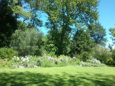 a garden with a bunch of flowers in a field at Languedoc in Stellenbosch
