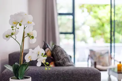 a living room with a couch with white flowers at Waterstone A103 by CTHA in Cape Town