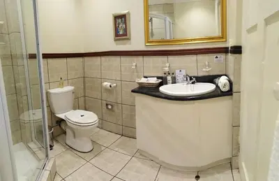 a bathroom with a toilet and a sink and a mirror at Le Manoir de Brendel in Franschhoek