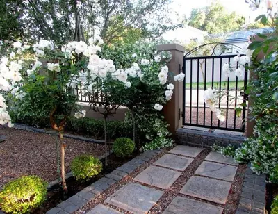 a garden with a gate with white roses at Cape Goodness in Bellville