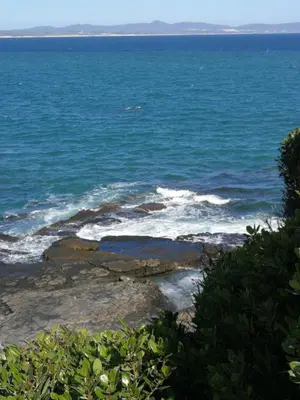 a view of the ocean from the shore at House 10-on-Sea in Hermanus
