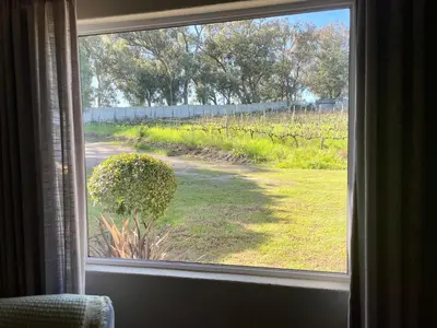 a window with a view of a field of grass at Groenvlei Guest Farm in Kuilsrivier