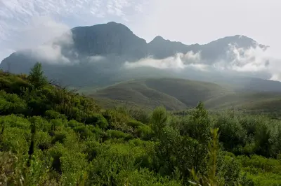 a misty valley with mountains in the background at Golden Hill Guest House in Somerset West