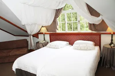 a bedroom with two white beds and a window at Evergreen Lodge in Stellenbosch