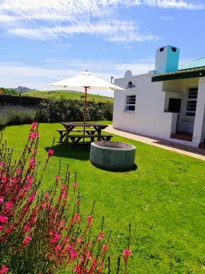 a picnic table and an umbrella in a yard at Induku in Stellenbosch