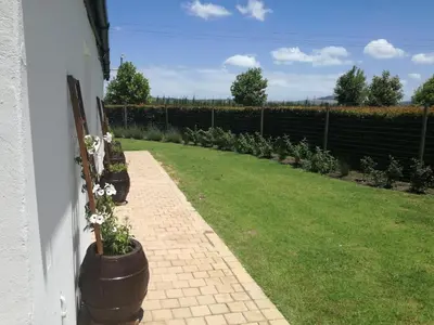 a garden with potted plants on the side of a house at Induku in Stellenbosch