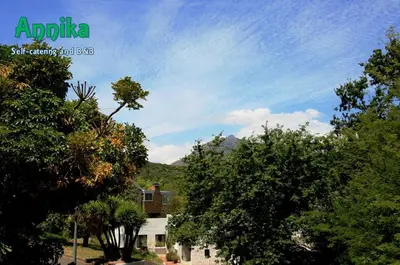 a group of trees in front of a house at Annika Self-catering and B&B in Stellenbosch