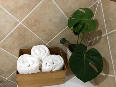 a wooden box filled with towels next to a plant at The Wild Fig in Durbanville
