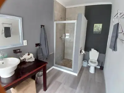 a bathroom with a shower and a sink and a toilet at Ons Stee Bed and Breakfast in Wellington