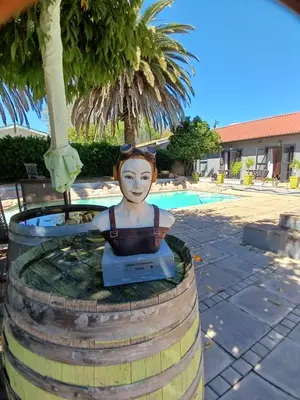 a statue of a woman sitting in a barrel at Ons Stee Bed and Breakfast in Wellington