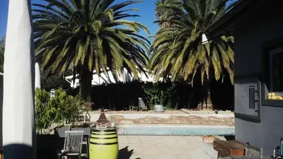 a courtyard with palm trees and a swimming pool at Ons Stee Bed and Breakfast in Wellington