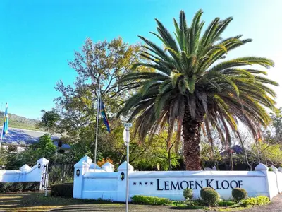 a palm tree in front of a building with a sign at Lemoenkloof Boutique Hotel in Paarl