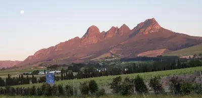 a view of a mountain range with trees in a field at Modern spacious home in heart of Cape Winelands in Somerset West