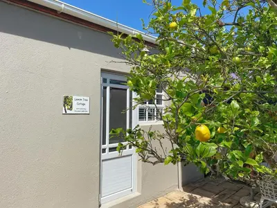 a door to a house with a tree in front of it at Lemon Tree Cottage in Edgemead