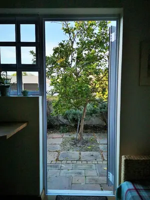 a sliding glass door with a tree in a yard at Lemon Tree Cottage in Edgemead