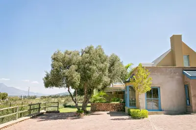 a house with a tree in front of it at Heuwelsig Farm Cottages in Franschhoek
