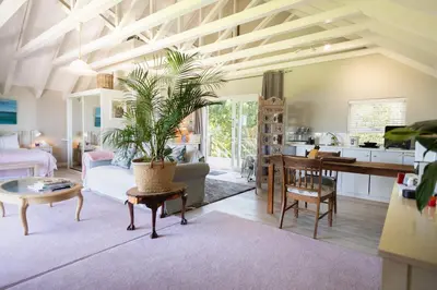 a living room with a couch and a table with a plant at Protea & Pincushion Cottages in Hermanus