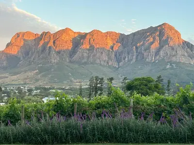 a view of a mountain range with purple flowers at Camberley Wines - Luxury Accommodation in Stellenbosch