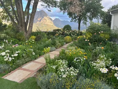 a garden with flowers and a mountain in the background at Camberley Wines - Luxury Accommodation in Stellenbosch