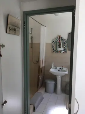 a bathroom with a sink and a toilet and a shower at Funky cottage in Hermanus