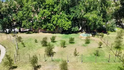 an overhead view of a garden with trees at UnderHill Farm in Klipkraal
