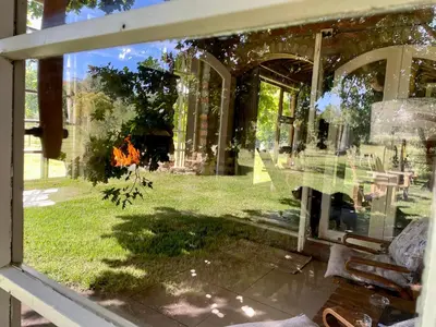 a window of a house with a view of a yard at UnderHill Farm in Klipkraal