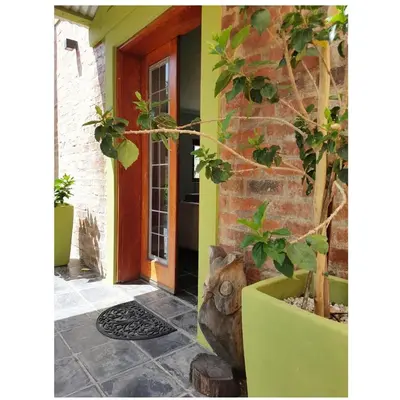 a front door of a house with a plant at Port Del Mar Guesthouse in Hermanus