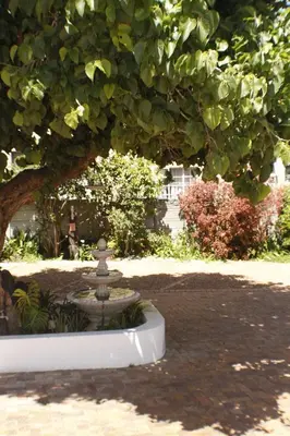 a fountain in a park under a tree at Little Scotia in Cape Town