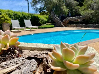 a pool with two chairs and a plant next to it at Anchor's Rest in Hermanus