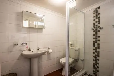 a bathroom with a toilet and a sink and a shower at Greenlawns B&B in Cape Town