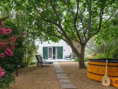 a garden with a bench and a tree and a barrel at Sanddrif Stellenbosch Guest Farm in Stellenbosch