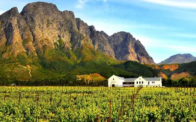 a white house in a field with mountains in the background at Holden Manz Country House in Franschhoek
