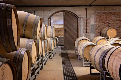 a row of wine barrels in a cellar at Holden Manz Country House in Franschhoek