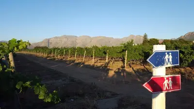 a sign in a vineyard next to a road at Eikendal Lodge in Stellenbosch
