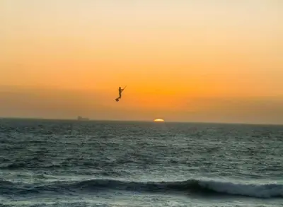 a bird flying over the ocean at sunset at Ocean View B1001, Blouberg in Bloubergstrand
