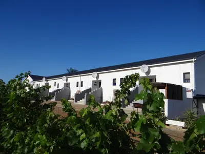 a row of white buildings with trees in the foreground at Middelplaas Paarl Guesthouse in Paarl