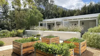 a garden with several boxes of plants in front of a house at Lavender Farm Boutique Guest House in Franschhoek