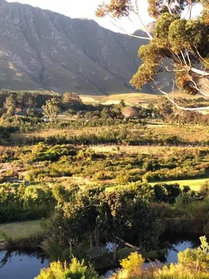 a view of a field with a river and a mountain at Hemel en Aarde cottages in Hermanus