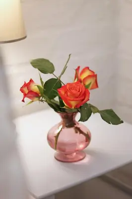 a pink vase filled with roses on a table at Petite Apartment in Bellville