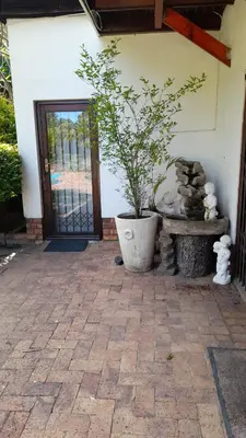 a potted tree in a pot next to a door at Oak on Blair in Somerset West