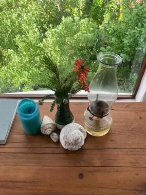 a vase with a flower in it next to a window at Rondawel with sea view in Kleinmond
