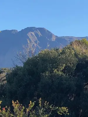 a group of trees with mountains in the background at Becketts Bliss in Worcester