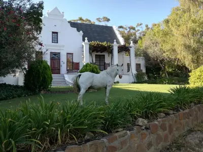 a statue of a white horse in front of a house at Mooiplaas Wine Estate in Stellenbosch