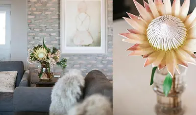 a living room with a couch and a flower in a vase at Pringle Bay Home in Pringle Bay