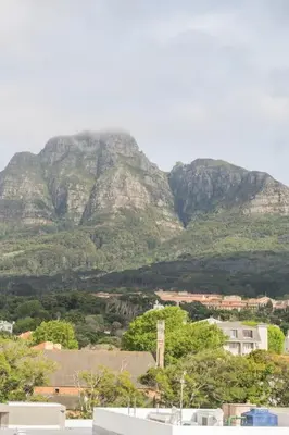 a mountain in the background of a city with trees at The Rondebosch in Cape Town