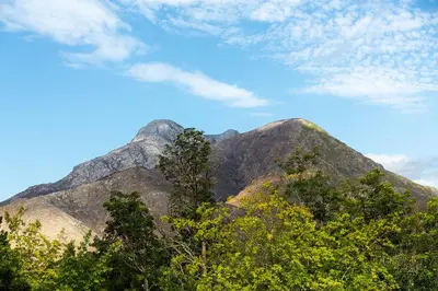 a group of mountains with trees in the foreground at Ridgeworth Cottage in Greyton