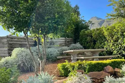 a park bench sitting in a garden with bushes at Ridgeworth Cottage in Greyton